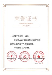 2022.12中國(guó)青年好網(wǎng)民榮譽(yù)證書
